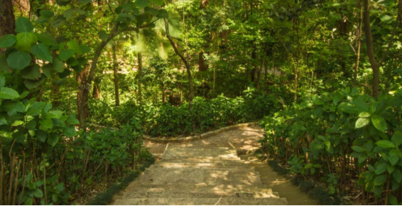 Parque dos Eucaliptos