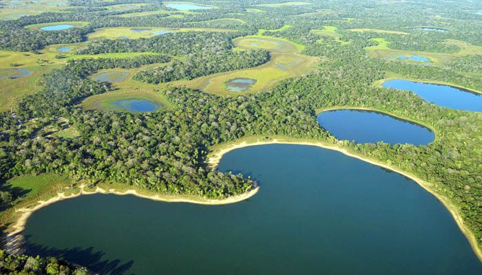 Literatura e Viagem - Pantanal