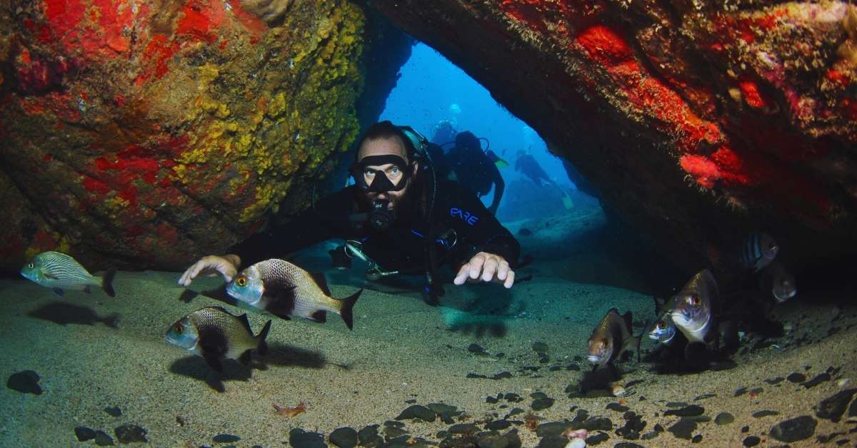 Mergulhador com cilindro nadando entre peixes e formações rochosas em mergulho em Fernando de Noronha
