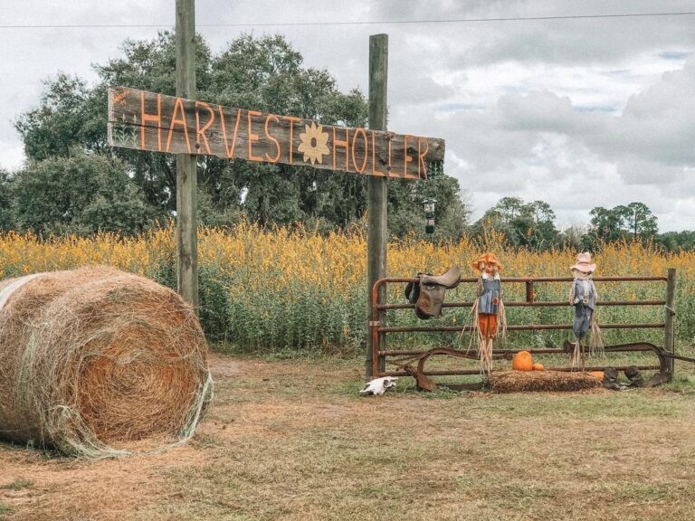 festivais de outono na Flórida Central
