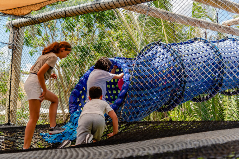 Visitantes interagindo com a natureza durante a programação especial de dezembro no Parque Arvorar, Ceará.