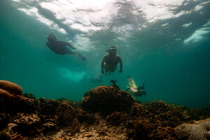 Vista aérea das ilhas de Bocas del Toro, mostrando o contraste entre a selva verde e o mar do Caribe azul-turquesa.