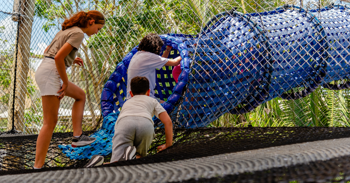 Carnaval Parque Arvorar