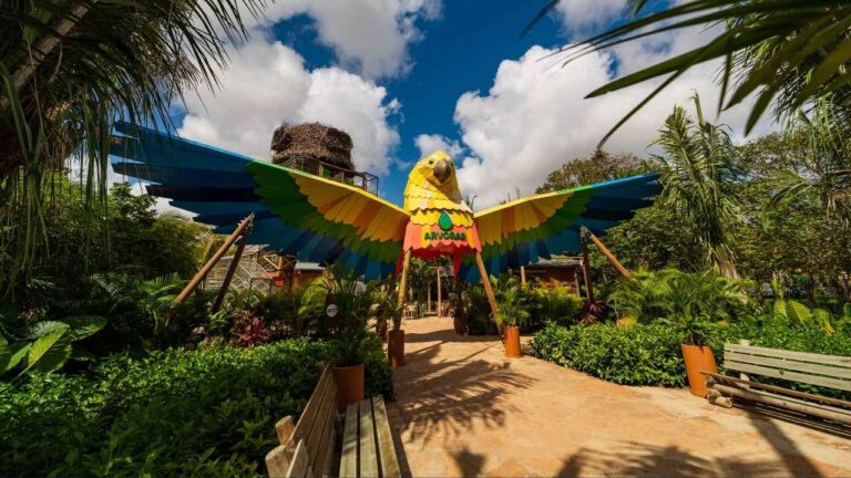Parque Arvorar transforma junho em festa junina educativa e cultural