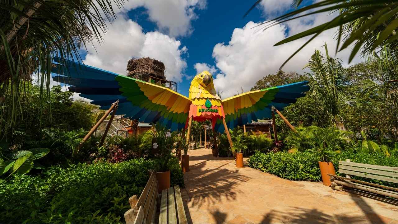 Atividade interativa no Parque Arvorar durante celebração de São João em junho.